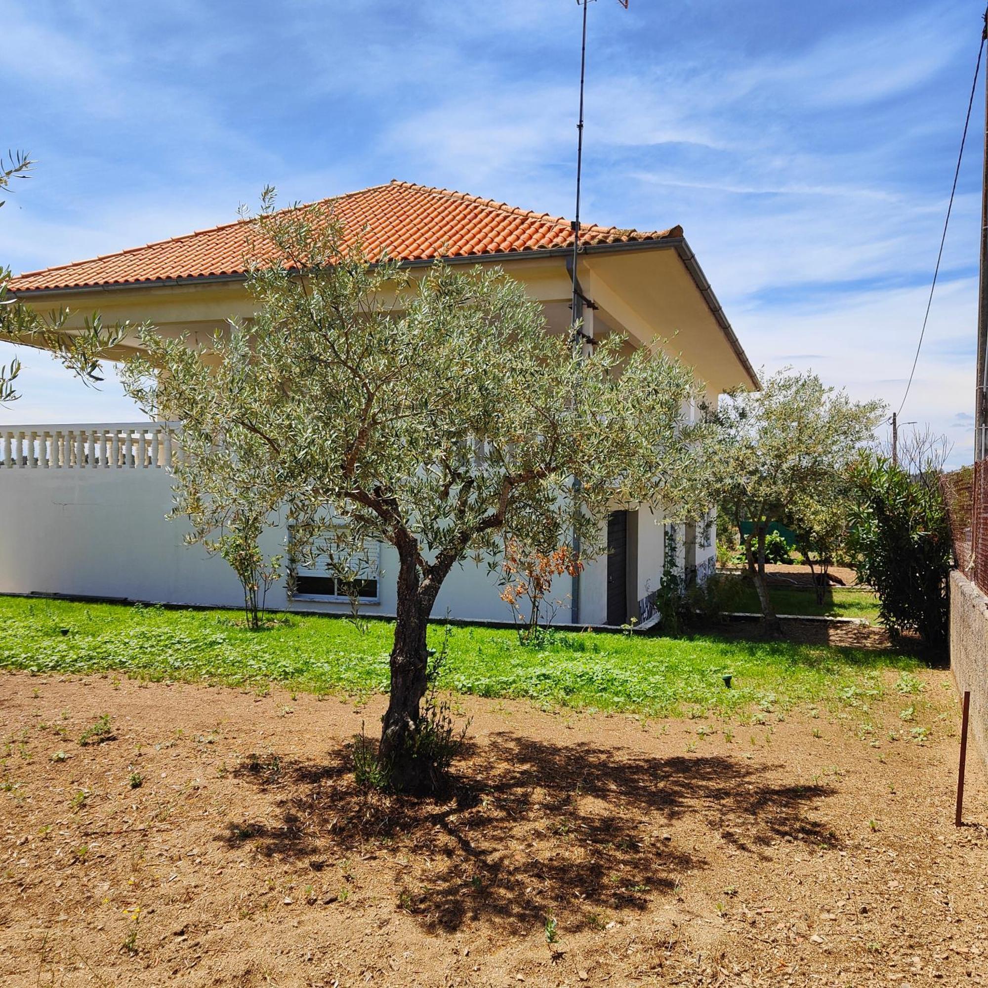 אלמיידה Villa Mendes Oliva מראה חיצוני תמונה