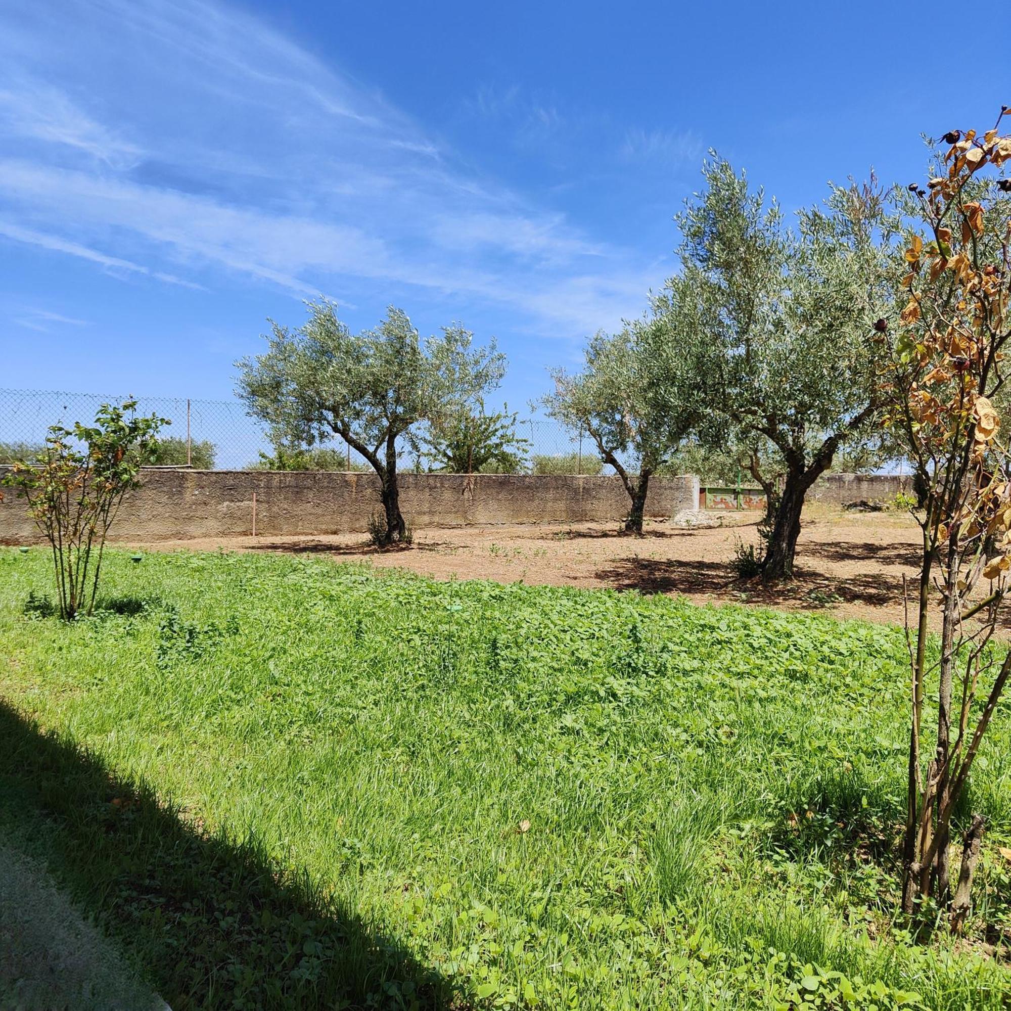 אלמיידה Villa Mendes Oliva מראה חיצוני תמונה